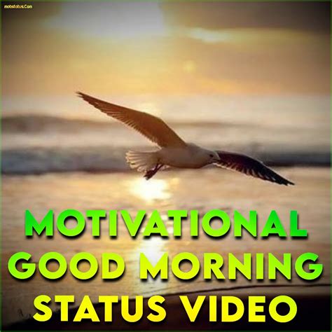 Motivational Good Morning Beautiful Status Video Download, HD