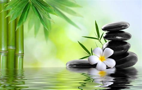 Bamboo Spa Wallpapers - Top Free Bamboo Spa Backgrounds - WallpaperAccess