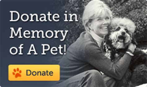 Grants | Doris Day Animal Foundation