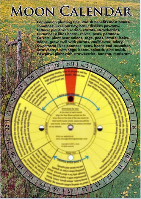 Home - Moon Gardening Calendar
