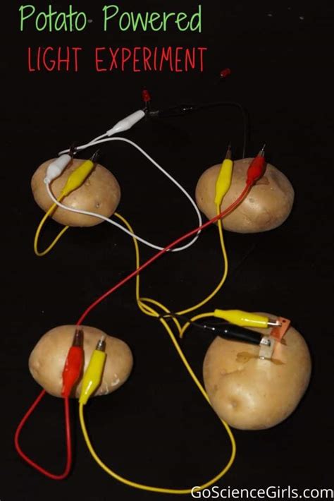 DIY Potato Battery: Potato Light bulb Science Fair Project