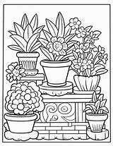 Plants Color Sheets Free  Printable sketch template