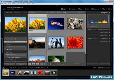 Download adobe lightroom free for pc - mevaimagine