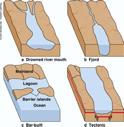 Types of Estuaries - Marine Science