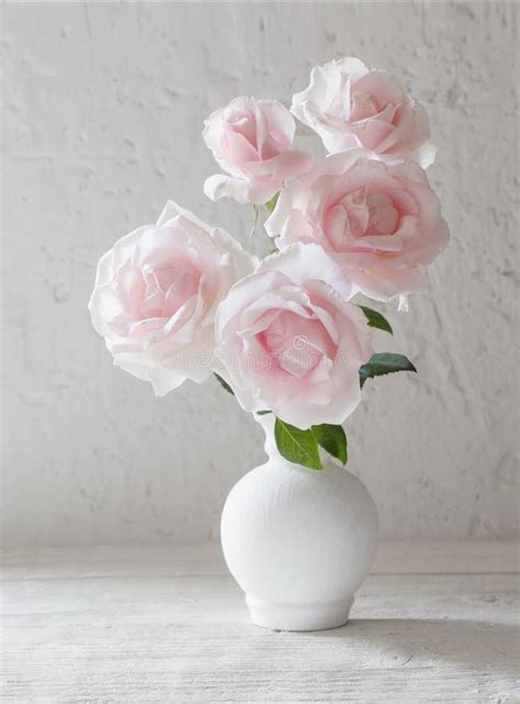 Pink Roses in Vase on White Background Stock Image - Image of background, romance: 124720515