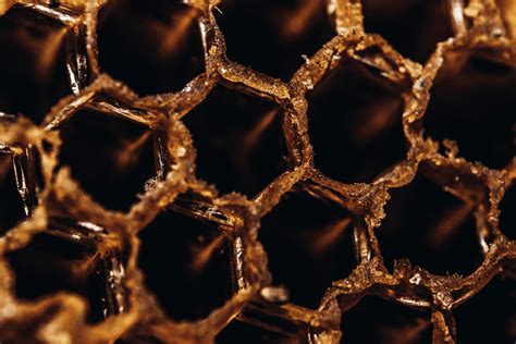 Honeycomb Structure Is Space-Efficient and Strong — Biological Strategy ...