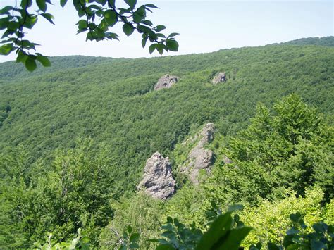 A Bright Spot in Ukraine - European Wilderness | Around the World in ...