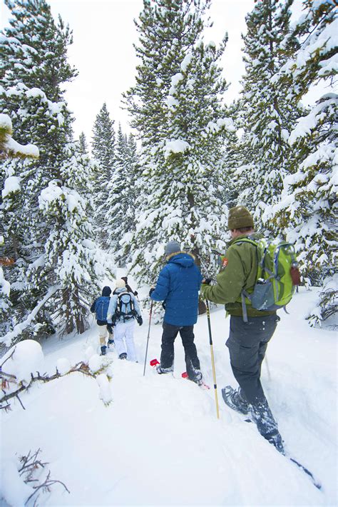 Estes Park: your base for winter adventures in the Rocky Mountains - Lonely Planet