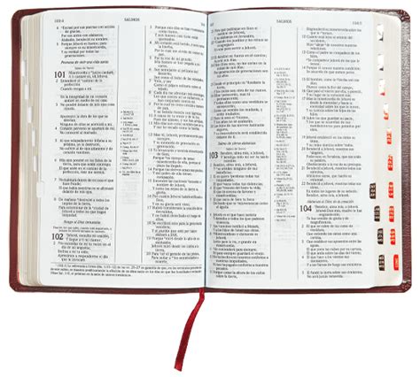 Spanish - Explore the Bible