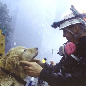 These Rescue Dogs Save People! | E! News