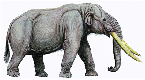 Stegomastodon platensis by DiBgd on DeviantArt