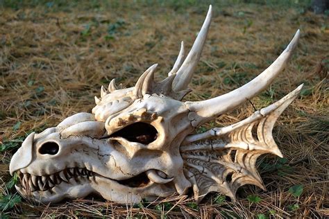 Dragon Skull Fossil Statue Figurine – Erathia – Elder Scrolls – Mythical Fantasy | Skull statue ...