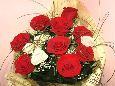 Bouquet of roses Free Photo Download | FreeImages