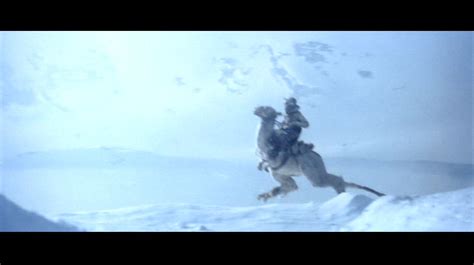 STAR WARS: Zoology: Tauntaun