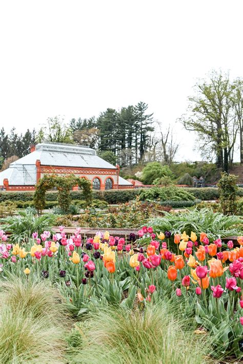 Spring at the Biltmore Estate - With Wonder and Whimsy