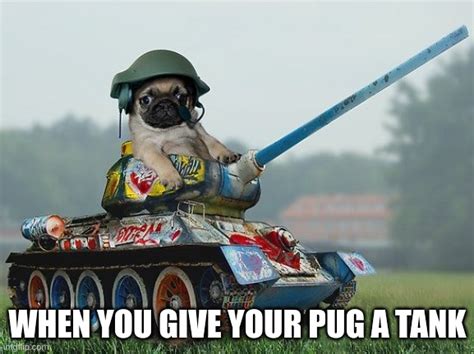 Army pug - Imgflip