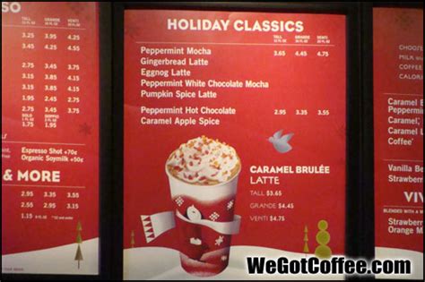 starbucks hot drinks menu