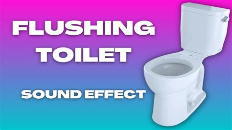 Toilet Flush Sounds (1 HOUR) - YouTube