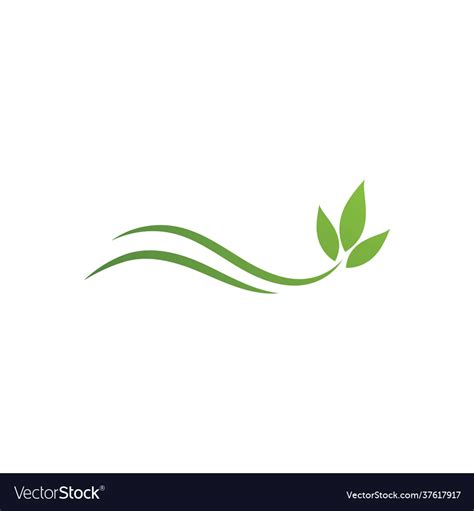 Green leaf Royalty Free Vector Image - VectorStock