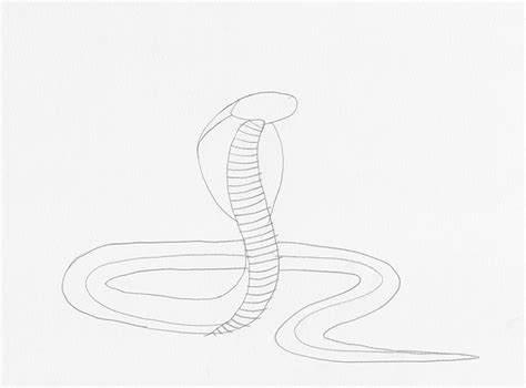 Learn How to Draw a Cobra Snake Step by Step