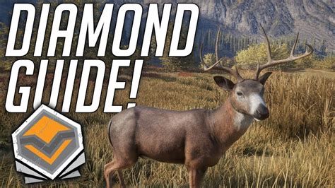 How To Find Diamonds! | theHunter: Call Of The Wild 2019 - YouTube