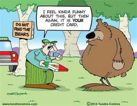 Pin by Todd Zimmerman on Funny | Cartoon jokes, Funny cartoons, Bear jokes