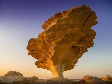 🔥 Rock formation in Egypt that looks like a giant tree : r/NatureIsFuckingLit