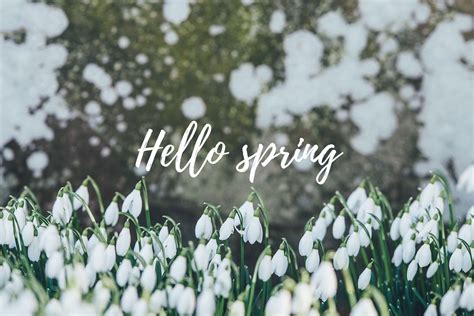 Hello Spring Computer Wallpapers - Top Free Hello Spring Computer Backgrounds - WallpaperAccess