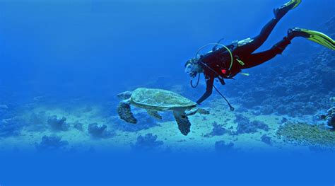 7 awesome things to do in Lakshadweep – Welcome to Traveling To World: The Smooth way to World ...