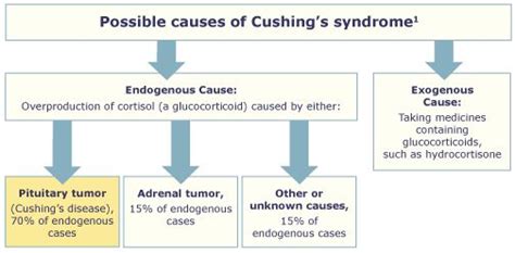 Possible Cushing’s Syndrome Causes | Cushings syndrome, Cushings, Cushing’s syndrome