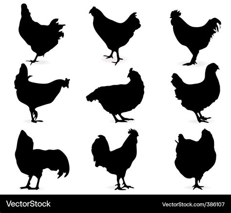 Chicken Royalty Free Vector Image - VectorStock