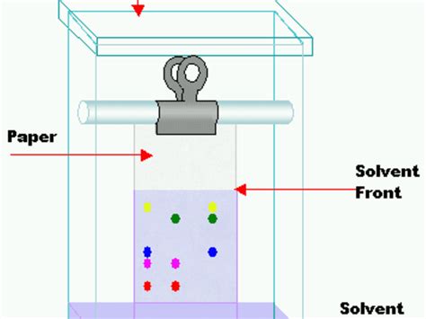 Paper Chromatography Diagram