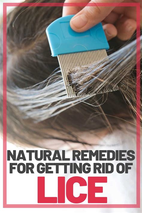 Get Rid Of Lice For Good - 5 Lice Remedies That Work