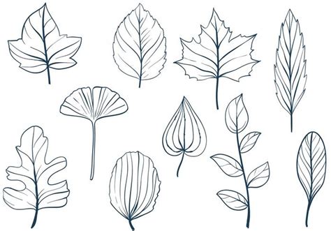 Free Leaves Vectors 103878 Vector Art at Vecteezy