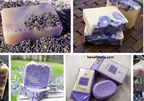 Lavender Soap Benefits - Dr Bronner Lavender Soap Benefits