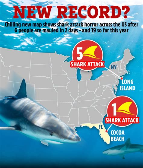 Chilling new map shows shark attack horror across the US after 6 people are mauled in 2 days ...