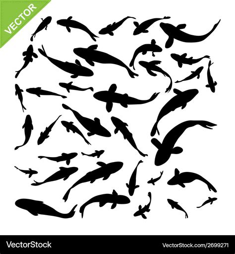 Top view of fish silhouettes Royalty Free Vector Image