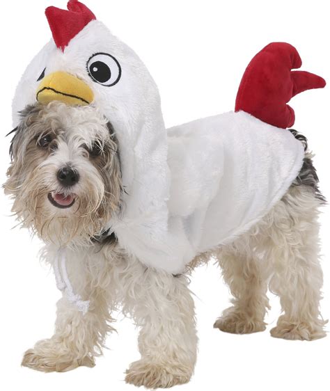 RUBIE'S COSTUME COMPANY Chicken Dog & Cat Costume, Medium - Chewy.com