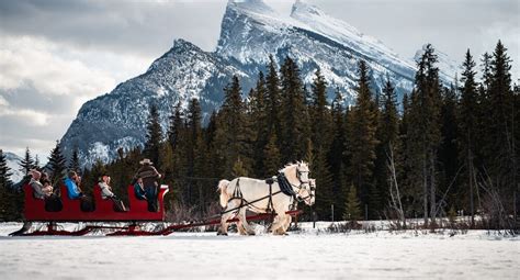 Sleigh Rides in Banff and Lake Louise | Banff & Lake Louise Tourism