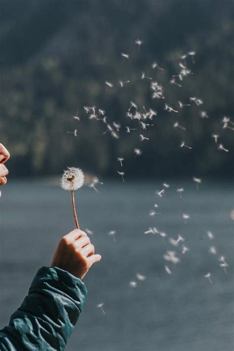 Photo of Woman Blowing Dandelion | Nature photography, Photo, Blowing dandelion