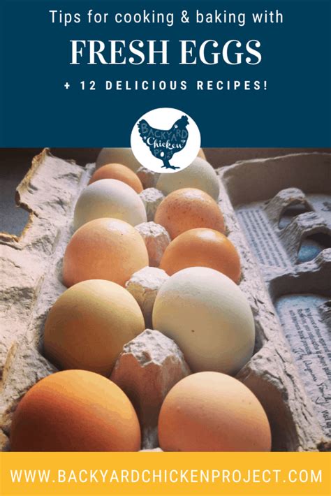 Tips for Using Fresh Eggs in the Kitchen & 12 Delicious Egg Recipes ...