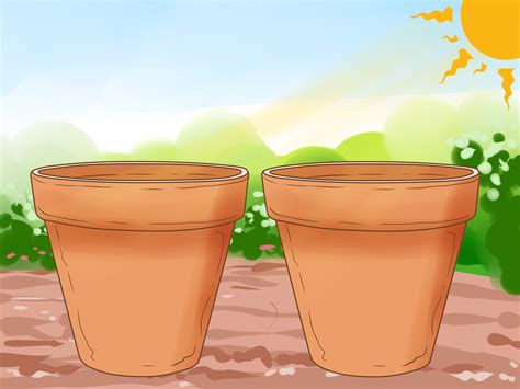 How to Clean Clay Pots: 14 Steps (with Pictures) - wikiHow