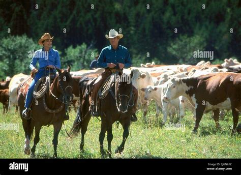 KRISTIN SCOTT THOMAS, ROBERT REDFORD, THE HORSE WHISPERER, 1998 Stock Photo - Alamy