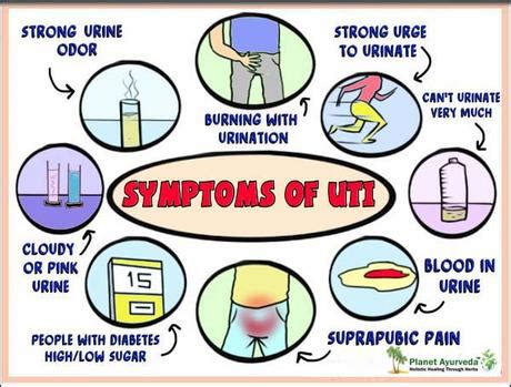 Herbal Remedies for Klebsiella Species Bacteria – UTI - Paperblog