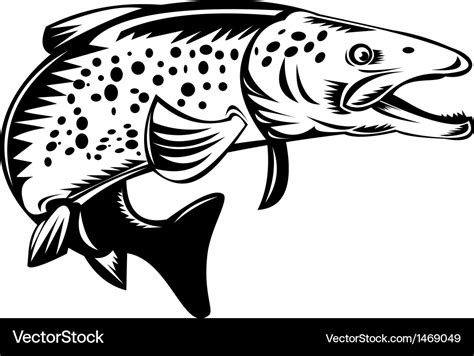 Spotted speckled trout fish jumping Royalty Free Vector