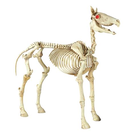 Home Accents Holiday 74 in. Halloween Standing Skeleton Horse-6342 ...