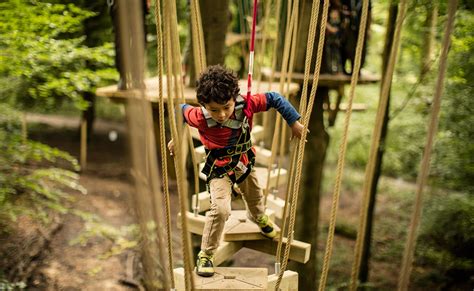 Treetop Trek Manchester – Clued In With Kids