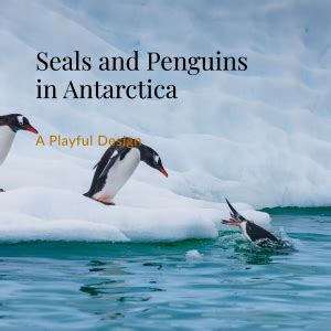 Do Seals Eat Penguins: Unraveling the Secrets of the Seals' Diet