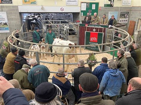 Sedgemoor Auction Centre | Market Reports | GTH