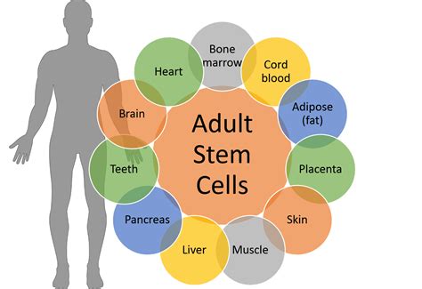 LaunchKU | Midwest Stem Cell Therapy Center